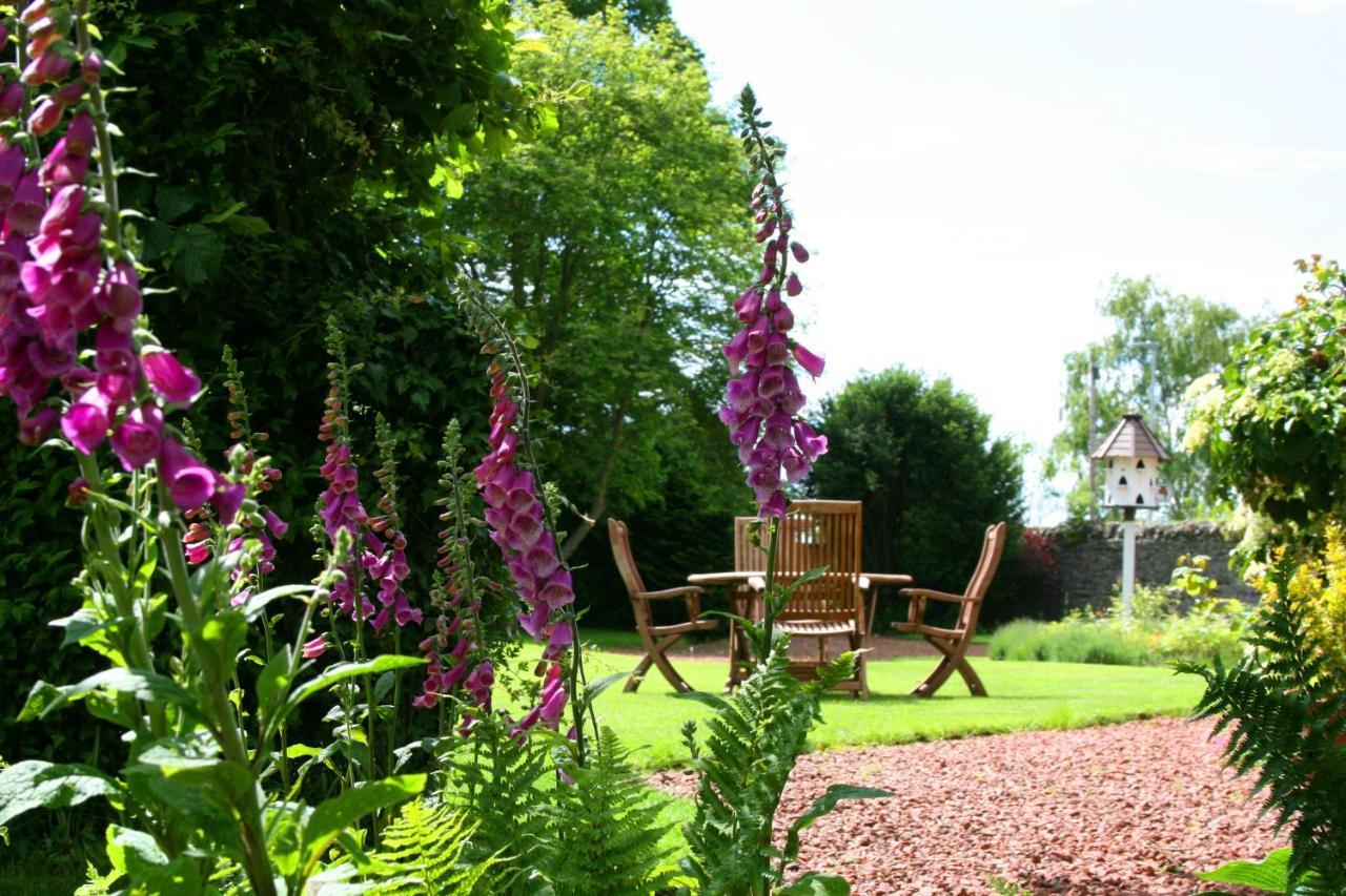 The Old Parsonage Country House Berwick Upon Tweed Exteriör bild